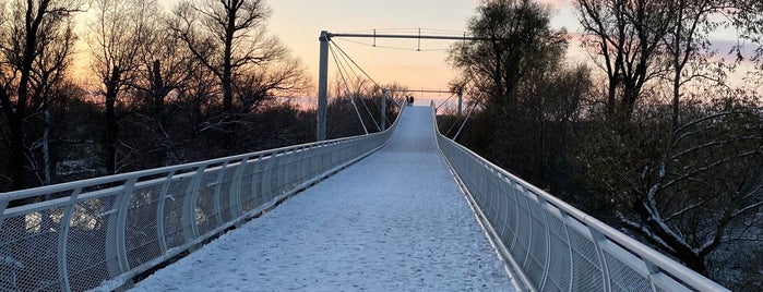 Cyklomost slobody | Fahrradbrücke der Freiheit is one of Bratislava | 03.2019.