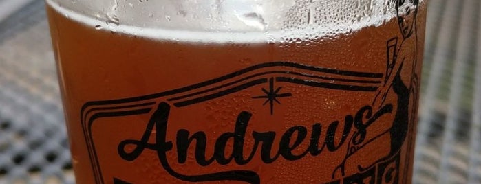 Andrews Brewing Company is one of Locais curtidos por Brad.