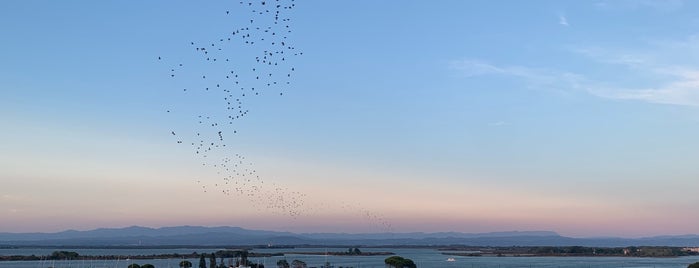 Laguna Sky Restaurant is one of Friuli Venezia Giulia.