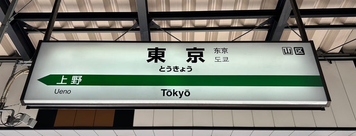 Hokuriku Shinkansen Tokyo Station is one of 駅　乗ったり降りたり.