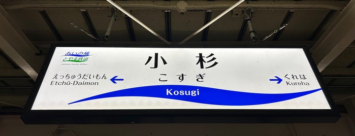 Kosugi Station is one of 北陸・甲信越地方の鉄道駅.
