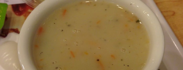 dog friendly cafe near me open now