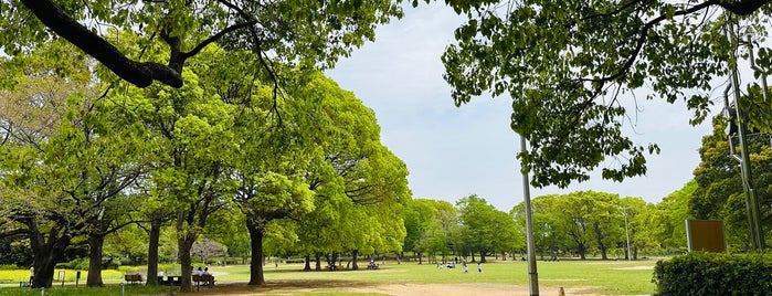 行田公園 is one of 好きな千葉県の公園(Favorite Chiba's Park).