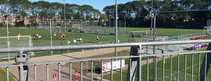 Omni Zwaluwen Utrecht Voetbal is one of My soccer fields.