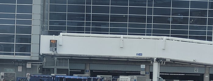 Gate D34 is one of DFW Airport Gates.