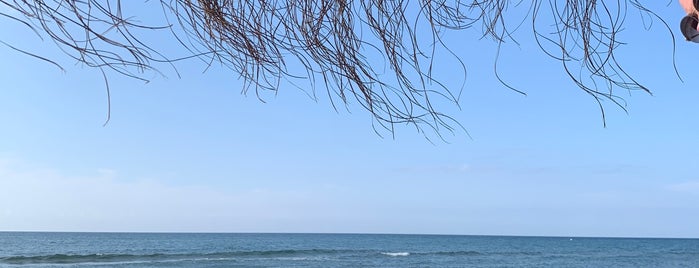 Las Chapas Beach is one of Las mejores playas de la Costa del Sol.