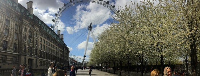 The London Eye is one of London 2016.