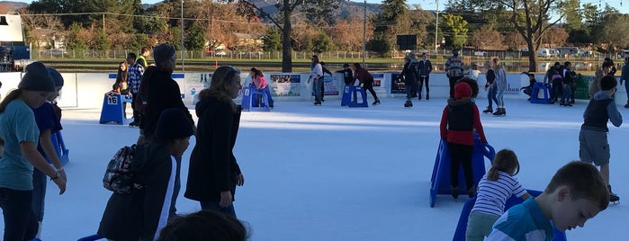 Napa On Ice is one of Bay Area Christmas Lights & Ice Skating Rinks.