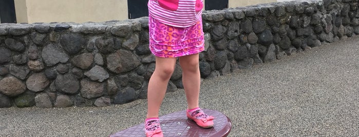 Ygnacio Valley Playground is one of Lieux qui ont plu à Ryan.