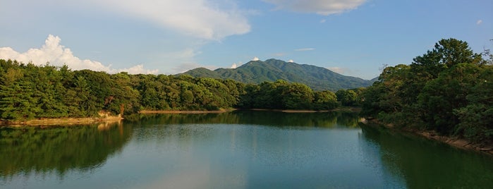 Jonan word is one of 九州沖縄の市区町村.