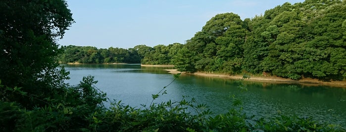 Seinan Mori no Kohan Park is one of 公園.