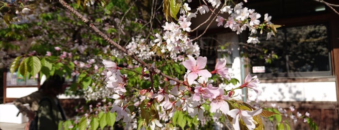 Kitano-Tenmangū Shrine is one of Yuka'nın Beğendiği Mekanlar.