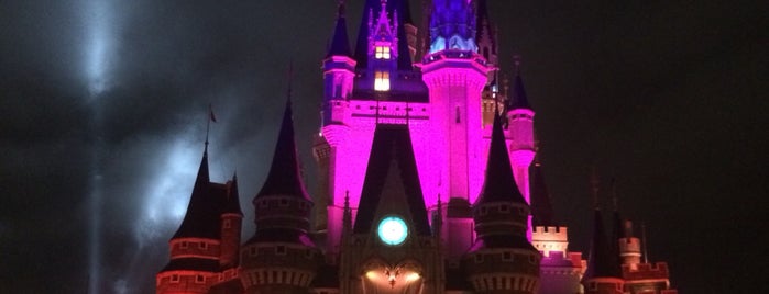 Cinderella Castle is one of สถานที่ที่ Yuka ถูกใจ.
