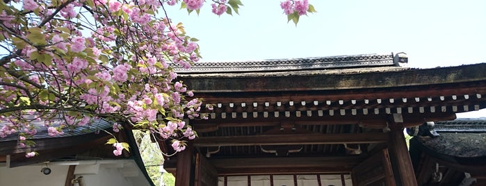 Hirano-Jinja Shrine is one of Orte, die Yuka gefallen.