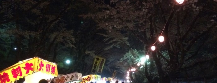 Fujimori Park is one of Orte, die Yuka gefallen.