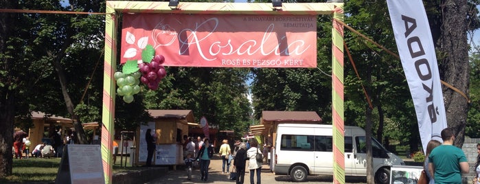 Rosalia Festival I Rosalia Fesztivál is one of Budapest.