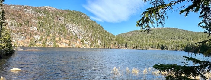 Parc national des Grands-Jardins is one of Canada.