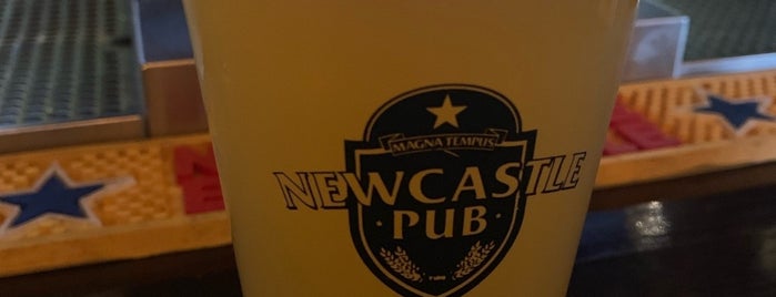 Newcastle Pub is one of The 15 Best Places That Are Good for Singles in Calgary.