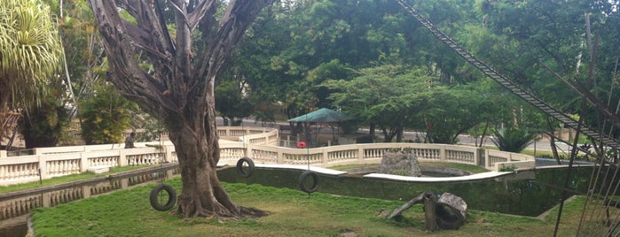 Parque Zoobotânico Arruda Câmara (Bica) is one of Lugares guardados de Fernando.