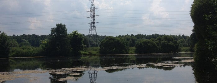 Izmaylovsky Park is one of Парки со спортивными программами.