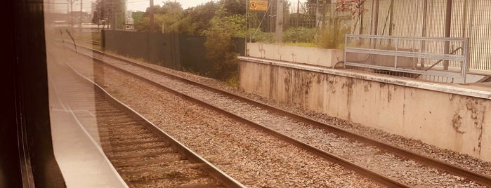 Estação Piqueri (CPTM) is one of Caminho Trabalho.