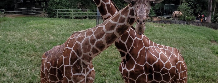 National Zoological Gardens is one of The fab.