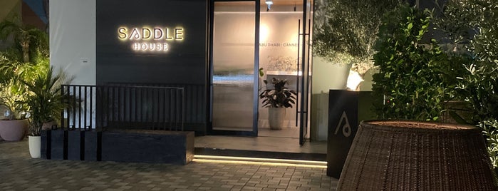 SADDLE is one of Abu Dhabi.