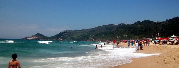 Praia Mole is one of Floripa!.