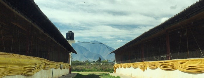 Tecamalucan is one of Tempat yang Disukai tonatiuh.