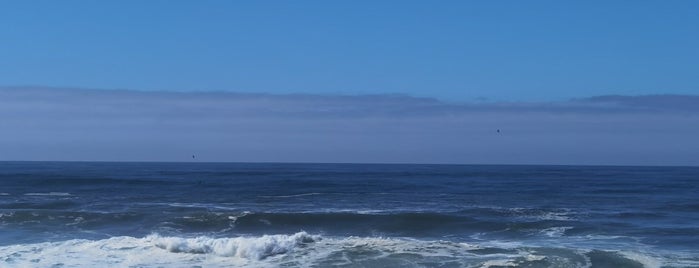 Praia de Pedras do Corgo is one of Praias.