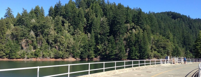 Alpine Dam is one of David'in Beğendiği Mekanlar.