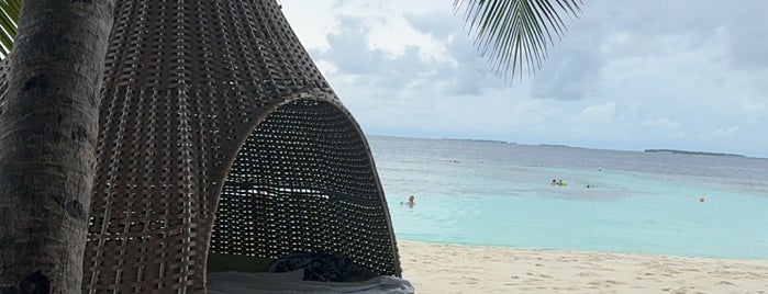 Furaveri Island Resort & Spa is one of Maldives.
