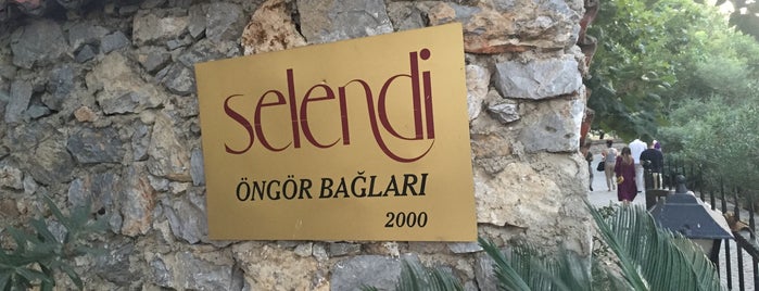 SELENDI WİNE's is one of Gidilecek İzmir.