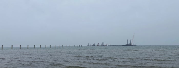 Seebrücke Prerow is one of Zingst.