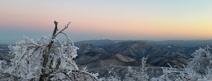 용평리조트 드래곤피크 is one of Ski Trips.