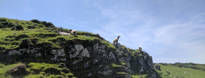 Killary Sheep Farm is one of Travel: Ireland.