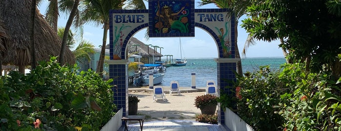 Blue Tang Inn is one of Hotels.