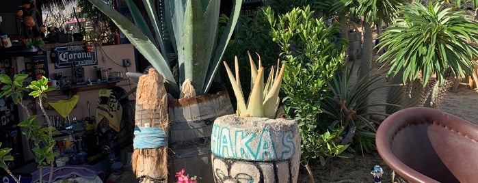 Shaka's is one of Cabo.