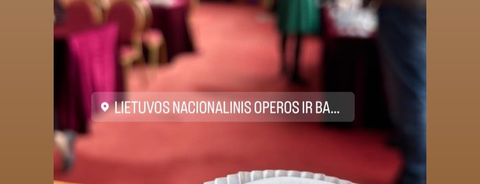 Lietuvos nacionalinis operos ir baleto teatras is one of ПОДОРОЖ ДО ВІЛЬНЮСА.