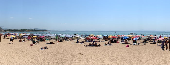 Altınkum Plajı is one of Tempat yang Disukai Enes.