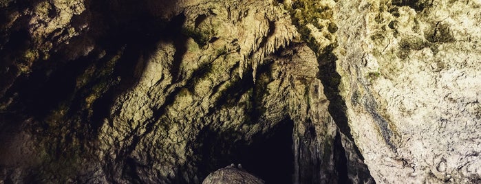 Cueva Ventana is one of Road trip.