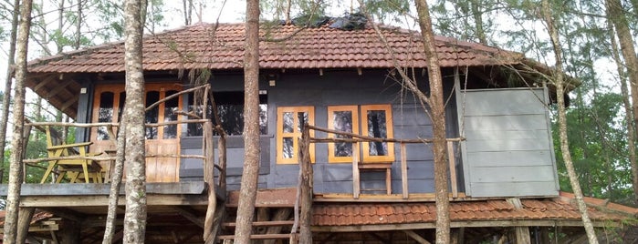 The Beach Hut is one of sri lanka.