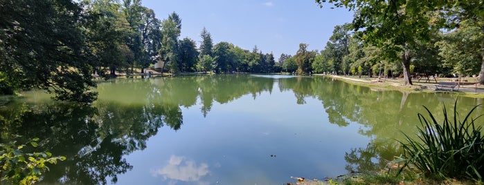 Felsőtárkányi-tó is one of kirándulj.