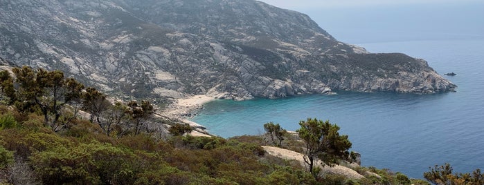 Isola di Montecristo is one of VegMap.