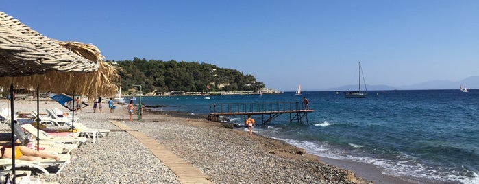 Club Med Sailing Center is one of Posti che sono piaciuti a Şeyda.