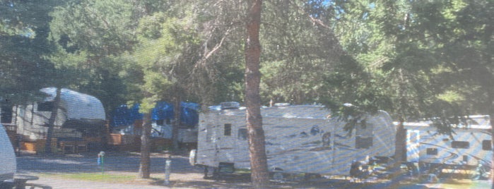 Whitefish RV Park is one of Camping everywhere.