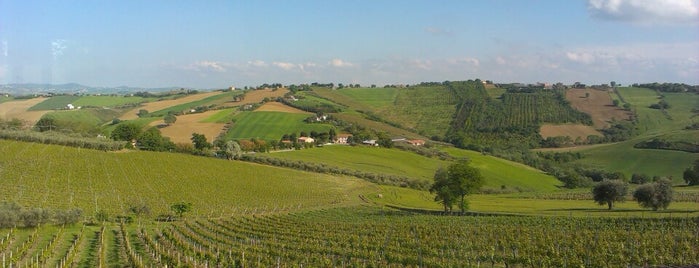 Cantina Lucchetti is one of Cantine delle Marche.