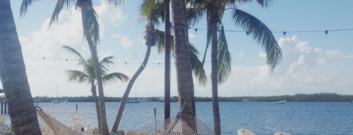 Coconut Palm Inn is one of Florida Keys / Florida / USA.