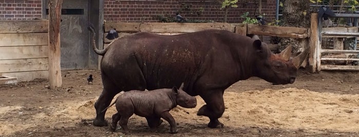 Zoo Berlin is one of Orte, die Julia gefallen.