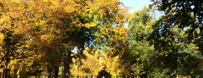 Schlossgarten Charlottenburg is one of สถานที่ที่ Julia ถูกใจ.